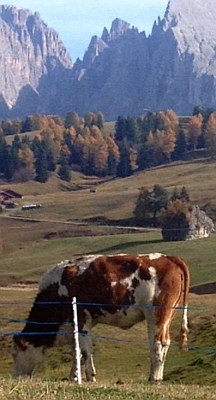  Auf der Seiser Alm 